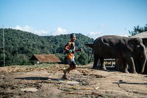 BIB: 
                            <button type="button" onclick="openModal(22423665)" class="btn btn-primary btn-sm float-right btn-popup" data-toggle="modal" data-target=".modal-high-quality">
                        <i class="fas fa-shopping-cart"></i> Add to Cart
                    </button>
                                            <button type="button" onclick="isThisMe(22423665, true)" class="btn btn-success btn-sm float-right btn-popup btn-isme hidden" data-toggle="tooltip" data-placement="bottom" title="นี่คือรูปของคุณใช่ไหม คลิกที่นี่เพื่อเอาเข้าอัลบั้ม">
                        <i class="fas fa-plus"></i> Add to album
                    </button>
                    <button type="button" onclick="isThisMe(22423665, false)" class="btn btn-warning btn-sm float-right btn-popup btn-isnotme hidden">
                        <i class="fas fa-ban"></i> Remove from album
                    </button>